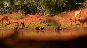 Голые и напуганные 11 сезон 1 серия (реалити-шоу, 2020)