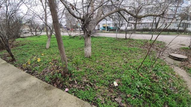 Один из дней города Евпатории | 11 января 2021 г | Крым | ХАН БАТОН XAH 6ATOH / VID_20210111_135441
