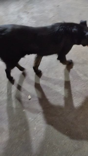 главное в жизни…это доброта!.mp4