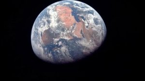 Георг Стеллер