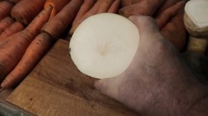 Овощи в январе после хранения в погребе в разрезе