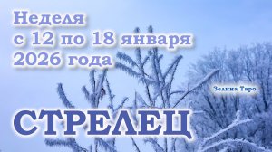 СТРЕЛЕЦ | ТАРО прогноз на неделю с 12 по 18 января 2026 года