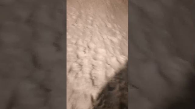 иду с тренировки 2