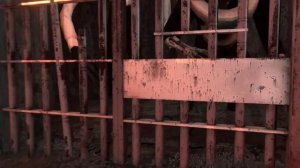 Zombie universe 14 (by MonsterUp )