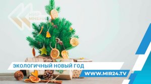 Экологичный Новый год. Как отметить праздник без вреда для природы?