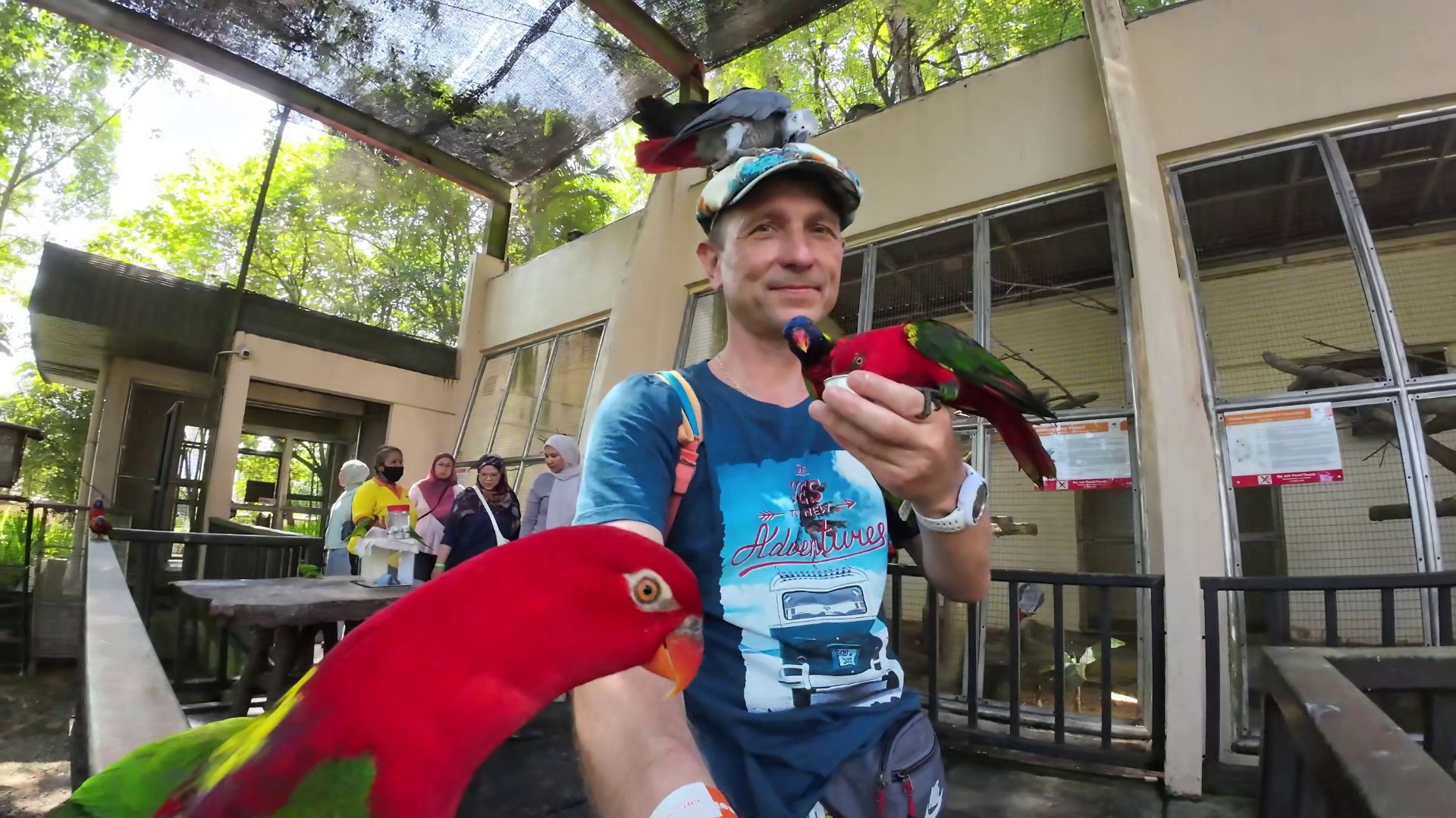 Куала - Лумпур Малайзия (11.2025) смотреть онлайн