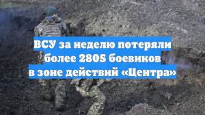 ВСУ за неделю потеряли более 2805 боевиков в зоне действий «Центра»