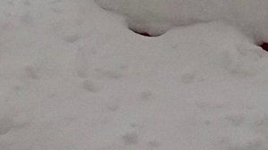 ХОРОШИЙ СНЕГОПАД К НАМ ПРИШЁЛ ❄️