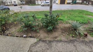 Один из дней города Евпатории | 13 января 2021 г | Крым | ХАН БАТОН XAH 6ATOH / VID_20210113_131226