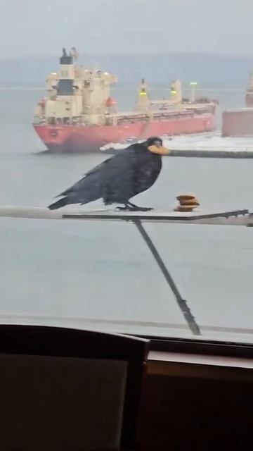 От жизни нужно брать всё😂