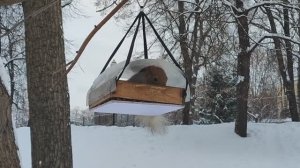 Ты не ты, когда голоден. Белочка сидит в кормушке и грызет орешки. Забавное видео. Январь 2026