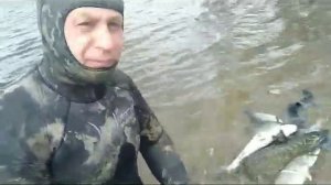 Подводная охота