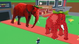 когда появляется клубничный слон