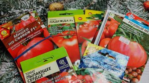 Семена томатов которые буду сажать в 2026 году.