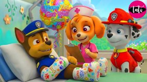 Щенячий патруль и Маршалл. Залипательное видео. Мультфильм для детей и малышей. Анимация 53