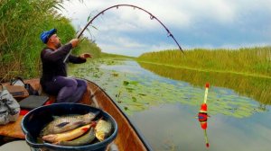 ВЕРНУЛСЯ В РЫБНУЮ ЗАВОДЬ! ЛОВИЛ НА ПОПЛАВОК, НО ВДРУГ ХАПНУЛ САЗАН! РЫБАЛКА НА ПОПЛАВОК!