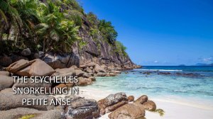 Снорклинг на Сейшелах, остров Маэ, Petite Anse