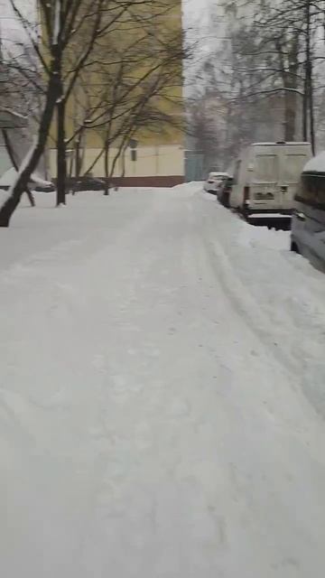 20260109 На улице прямо зима, зима…