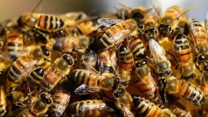 «Детский садик.» Дворовая песня под гитару.