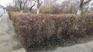 Один из дней города Евпатории | 12 января 2021 г | Крым | ХАН БАТОН XAH 6ATOH / VID_20210112_134009