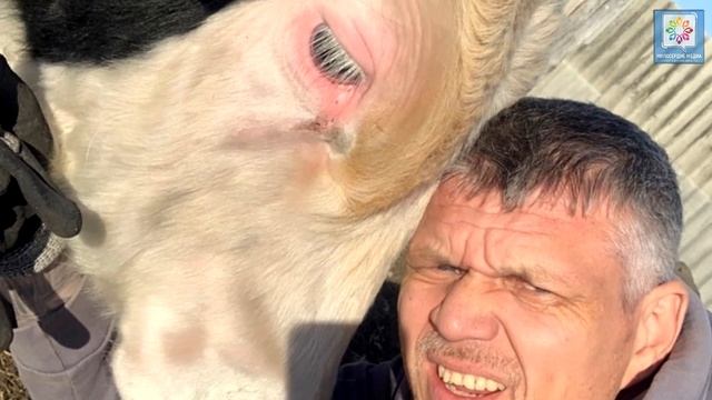 Сергей Серман о профессионализме в работе с бездомными и координации усилий организаций помощи смотреть онлайн