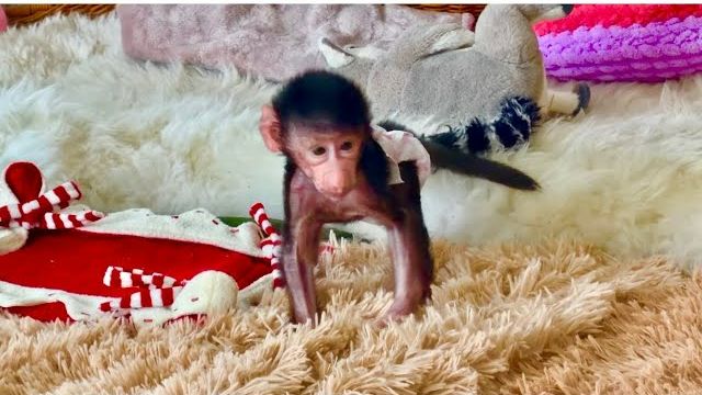 Вы ТОЛЬКО ПОСМОТРИТЕ какая Николь умная! Она обижается на меня и сама себя укачивает😘 смотреть онлайн