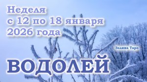 ВОДОЛЕЙ | ТАРО прогноз на неделю с 12 по 18 января 2026 года