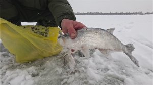 ВЗЯЛ ПАРНЕЙ НА РЫБАЛКУ! Рыбалка январь 2026 год!