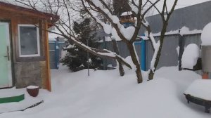 МОСКВУ ЗАМЕТАЕТ/ СНЕЖНАЯ СТИХИЯ