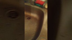 VID_20260109_224904.mp4