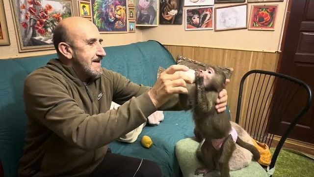 Анфиса не дает никому даже поесть ☺️ смотреть онлайн