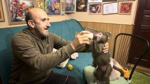 Анфиса не дает никому даже поесть ☺️