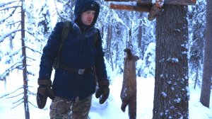 Охота на куницу капканами. Закрываю сезон 2025-26