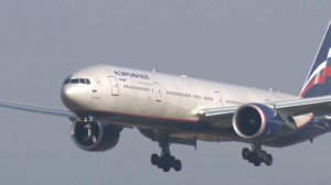 "Аэрофлот" выполняет рейсы без существенных изменений в расписании