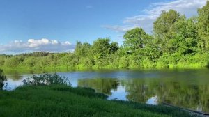 Река Плюсса. Лето