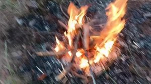 #лес лето природа вкусняшки костер