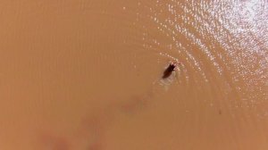 Голые и напуганные 11 сезон 4 серия (реалити-шоу, 2020)