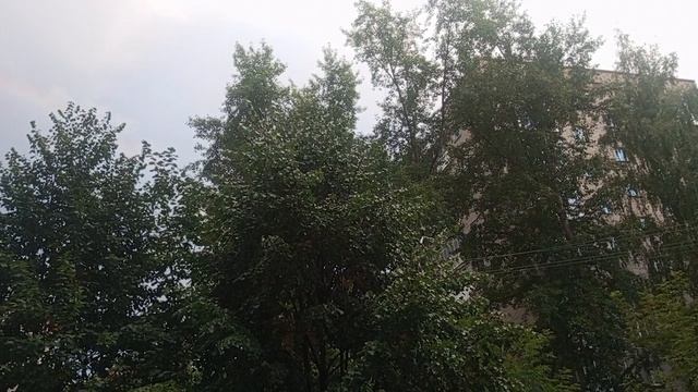 Было лето  Не скучное .радуга 2025г