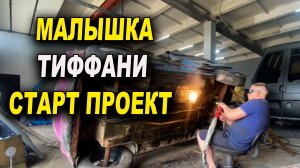 Малышка Тиффани, старт проекта