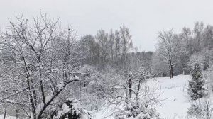 Снежное безмолвие