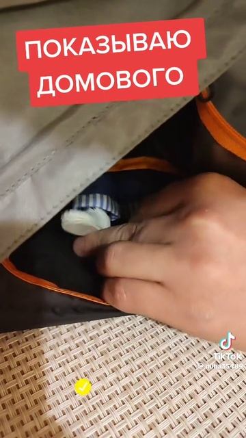 Показываю домового