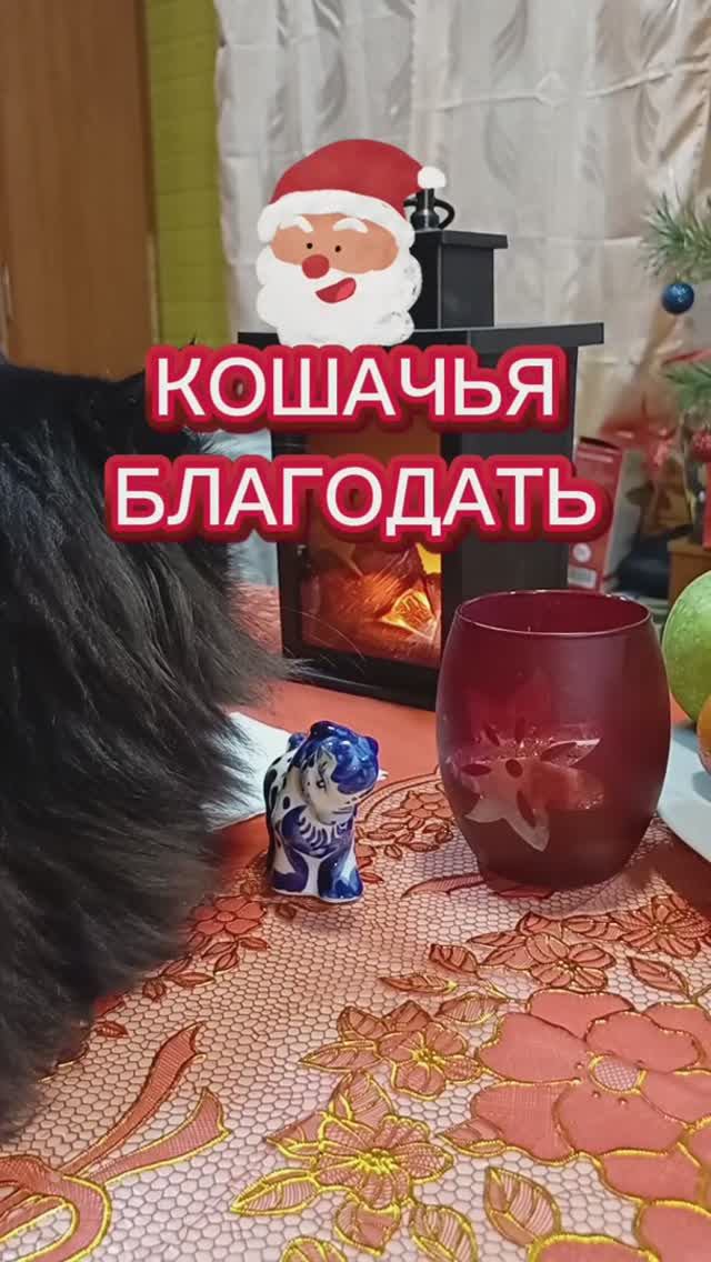 Кошачья благодать и спокойствие👍 смотреть онлайн