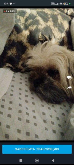 Просто день