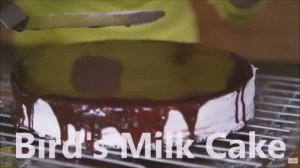 Рецепт торта Птичье молоко ПЕРЕВОД. Эгине