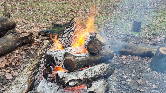 КОСТЕР смотреть онлайн