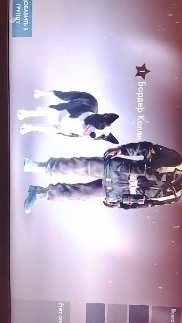 Стримок смотреть онлайн