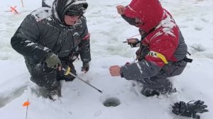 Поимка Форели.СЗ