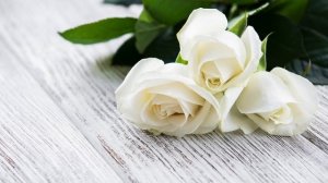 Цветочная дискотека SDR