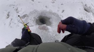 От Одной к Другой! Клево! Зимняя Рыбалка на Оке 2026! Рыбалка в Январе!