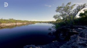 Голые и напуганные 11 сезон 9 серия (реалити-шоу, 2020)